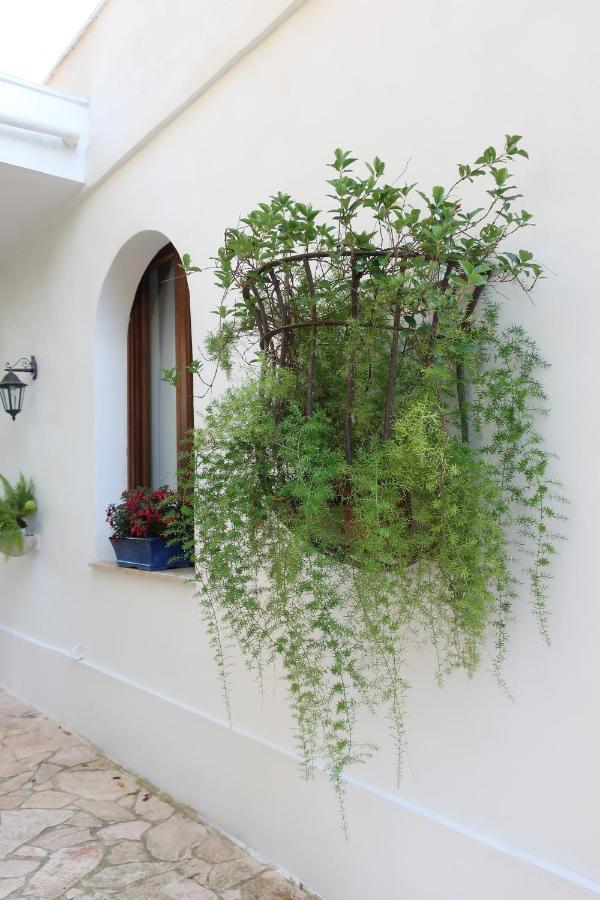 Villa Il Trullo Del Cadetto à Francavilla Fontana Extérieur photo