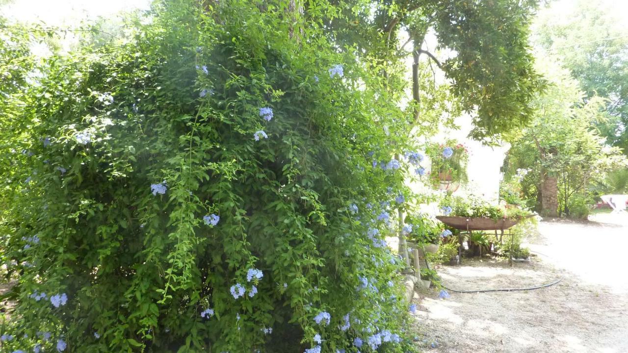 Villa Il Trullo Del Cadetto à Francavilla Fontana Extérieur photo