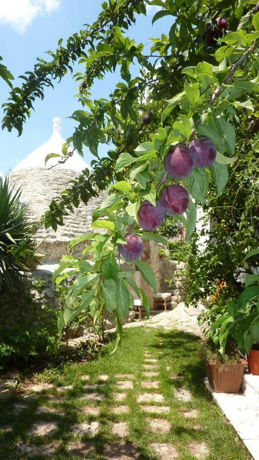 Villa Il Trullo Del Cadetto à Francavilla Fontana Extérieur photo